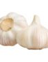 Garlic China
