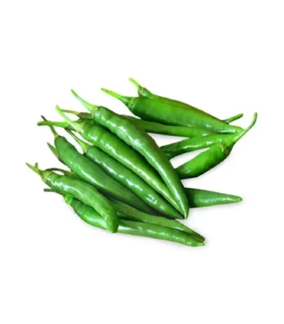 CHILLI HOT BIRD GREEN