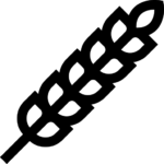 High Fibers