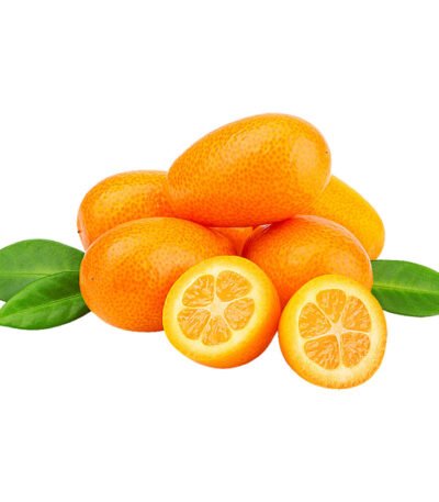 kumquats SA Box