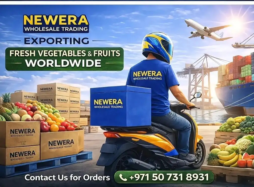 newera 2