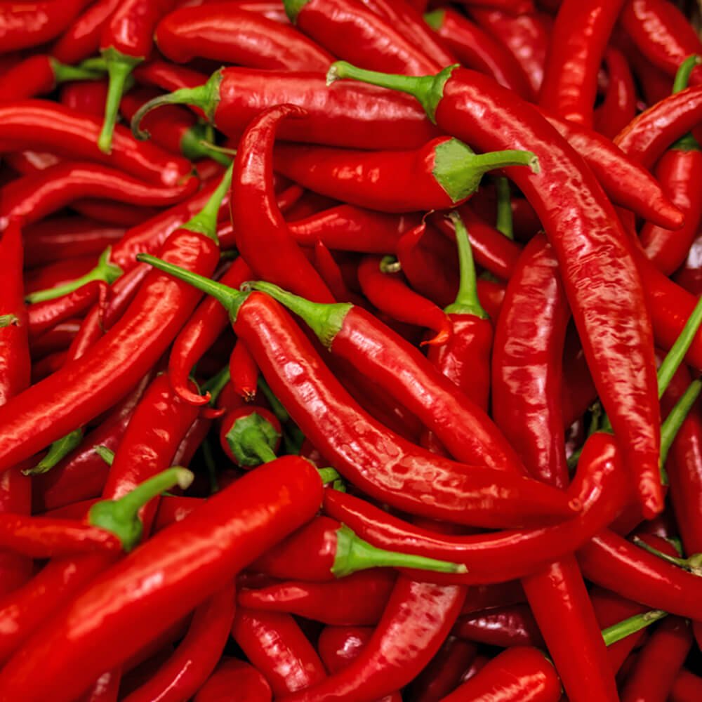CHILLI RED HOT