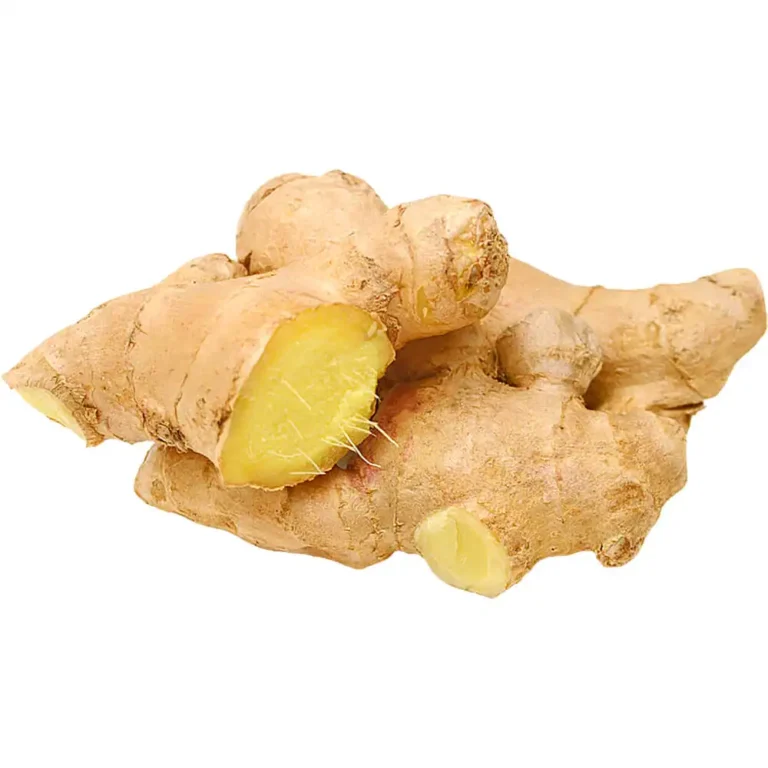 Ginger China