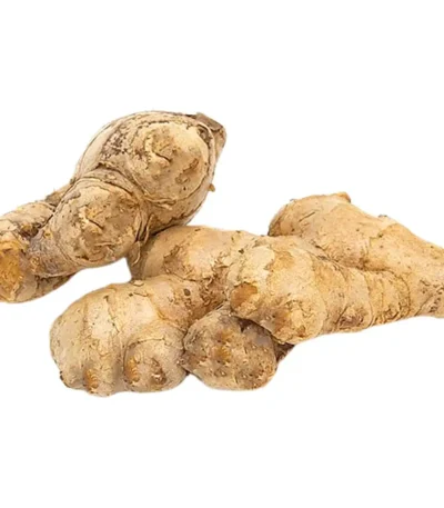 Ginger India