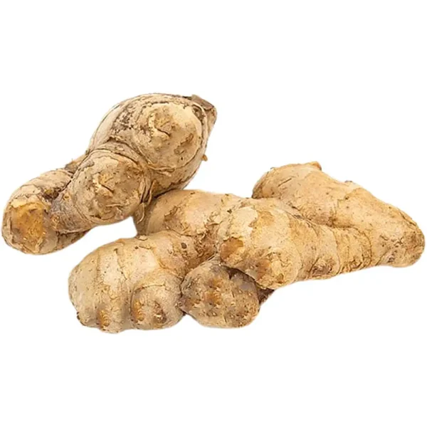 Ginger India