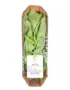 Green Basil Leaves