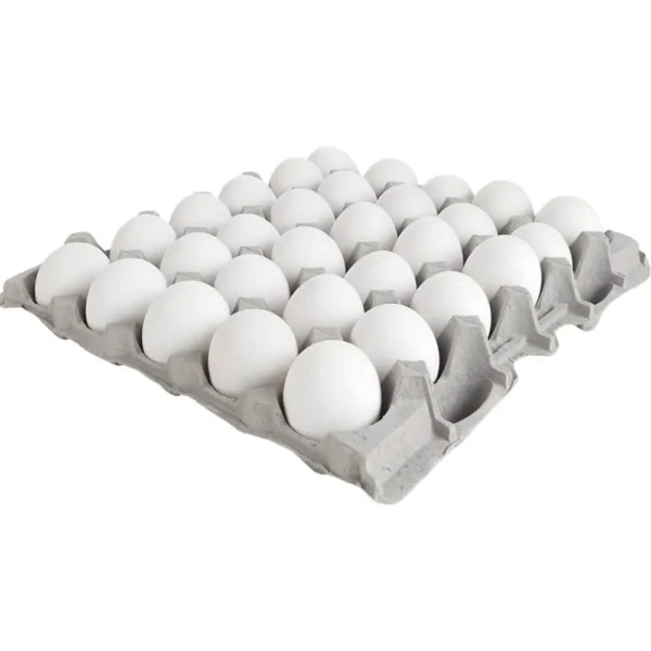Pasteurized Eggs