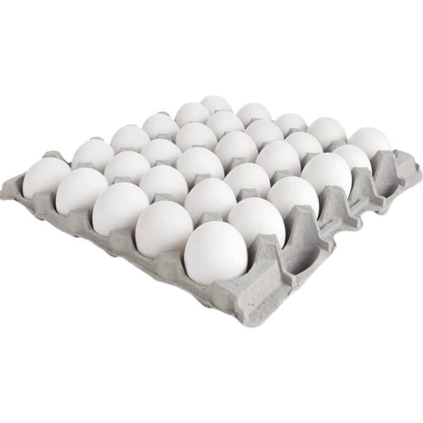 pasteurized-eggs-freshleaf-dubai-uae-img01