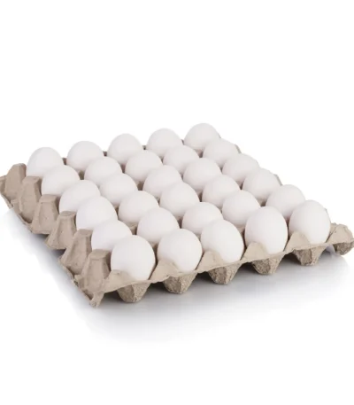 white eggs