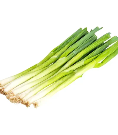 Onion Spring Loose