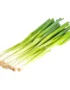 Onion Spring Loose