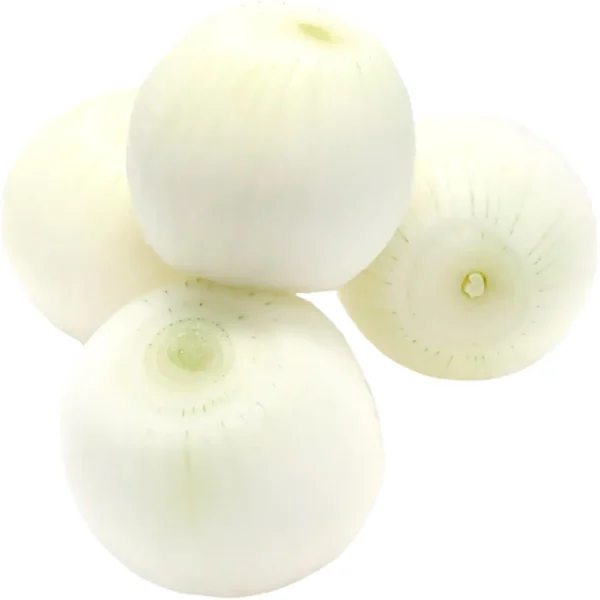 Onion White Peeled