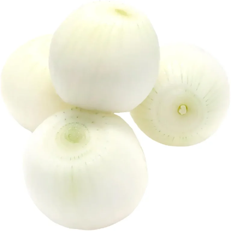 Onion White Peeled