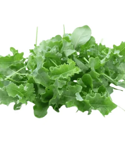 Baby Kale UAE