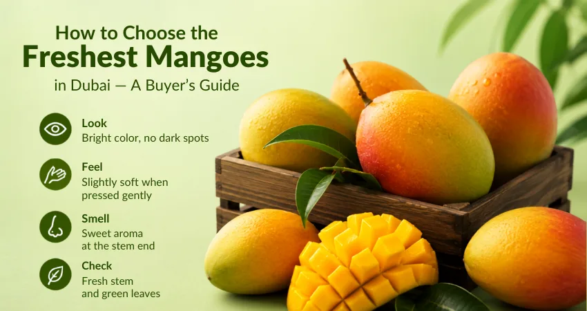 Fresh ripe mangoes in a wooden crate with tips for choosing the freshest mangoes in Dubai on a light green background.