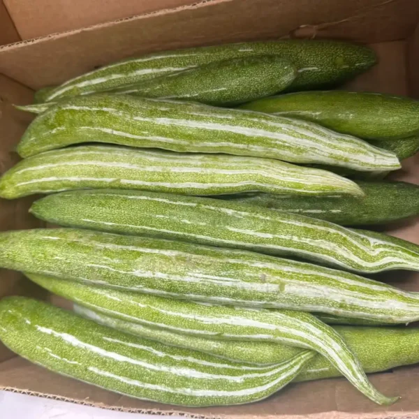 Snake Gourd (Bangladesh Kohi)