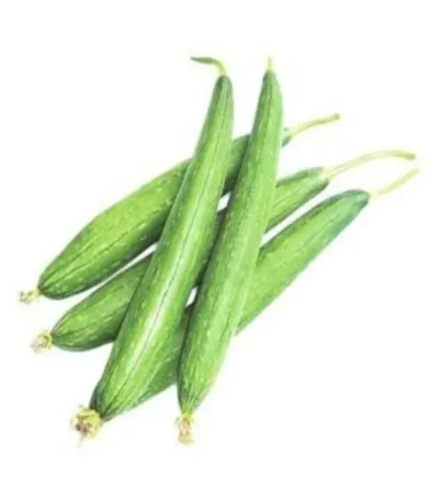 Sponge Gourd