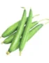 Sponge Gourd