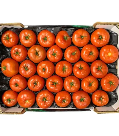 Tomato Beef Box