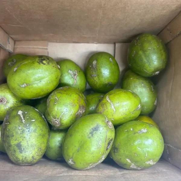 Hog Plum