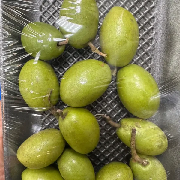 Jolpai (Bangladesh Olives)