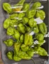 Naga Chilli (Bangladesh Naga morchi) in Dubai