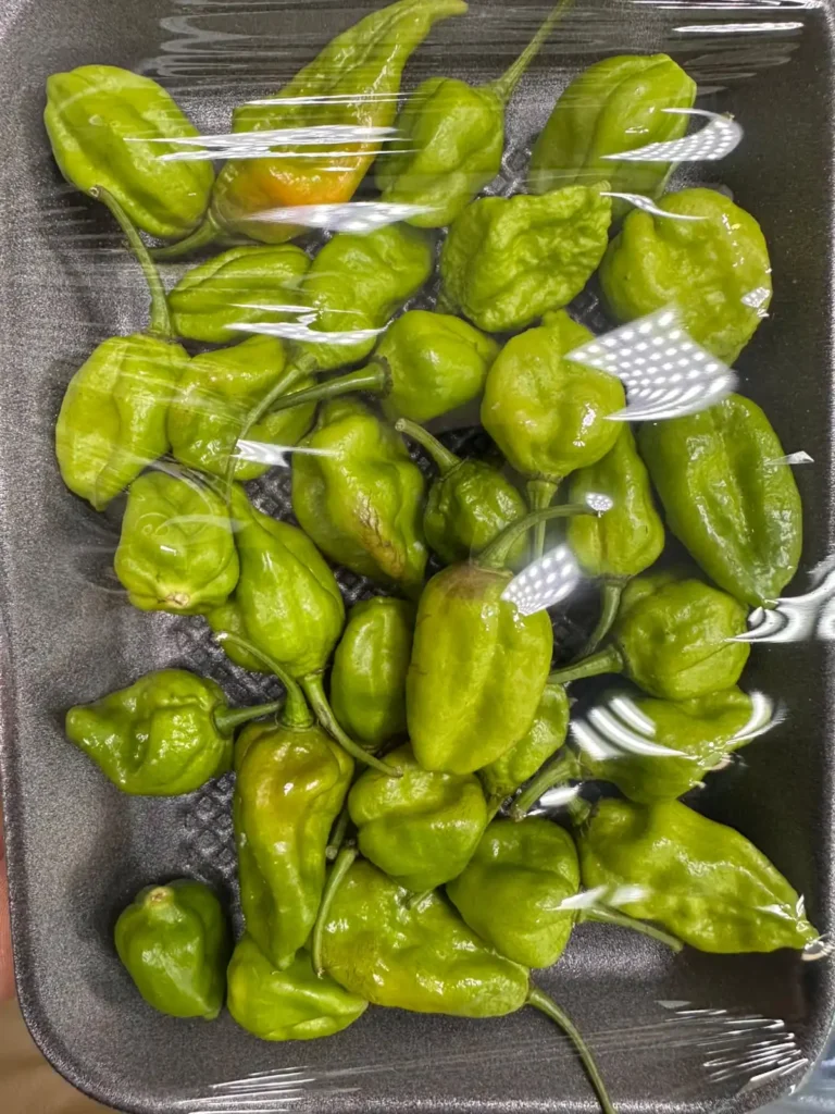 Naga Chilli (Bangladesh Naga morchi) in Dubai