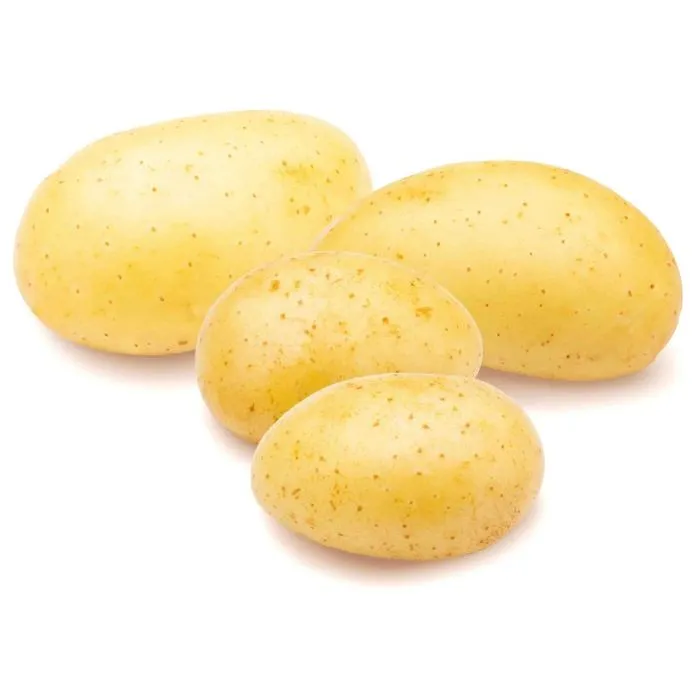 Potato Agria 5kg